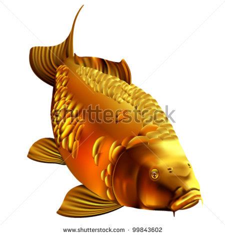 Interesant III :) - stock-vector-common-golden-carp-99843602.jpg